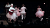 David Byrne "Ride Rise Roar" / A Life Concert Film [Blu-ray] (2009)